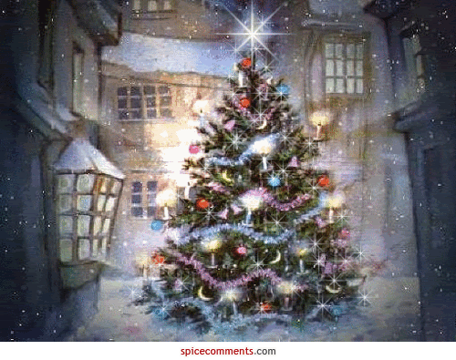 Christmas tree &amp; snow Pictures, Images and Photos