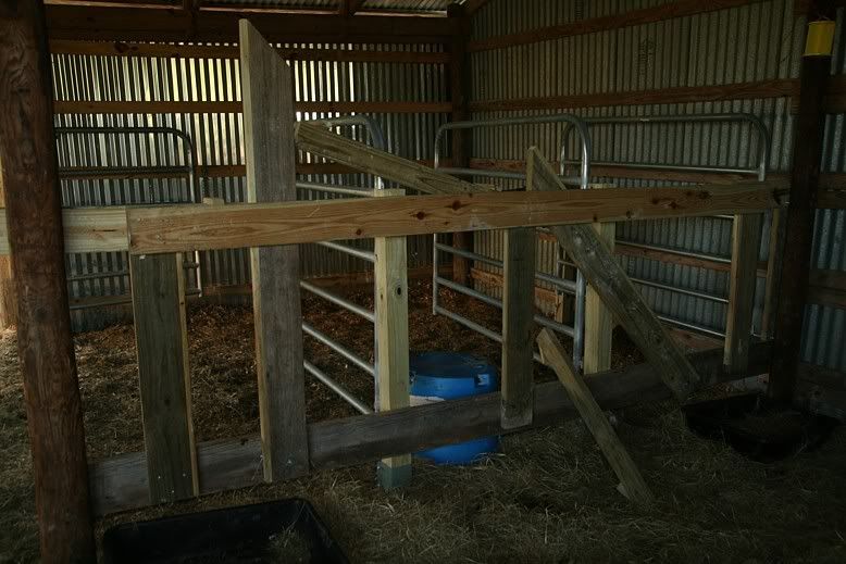 Stanchion plans - Cattle