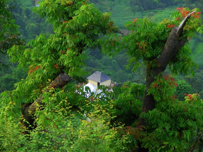 Hill View