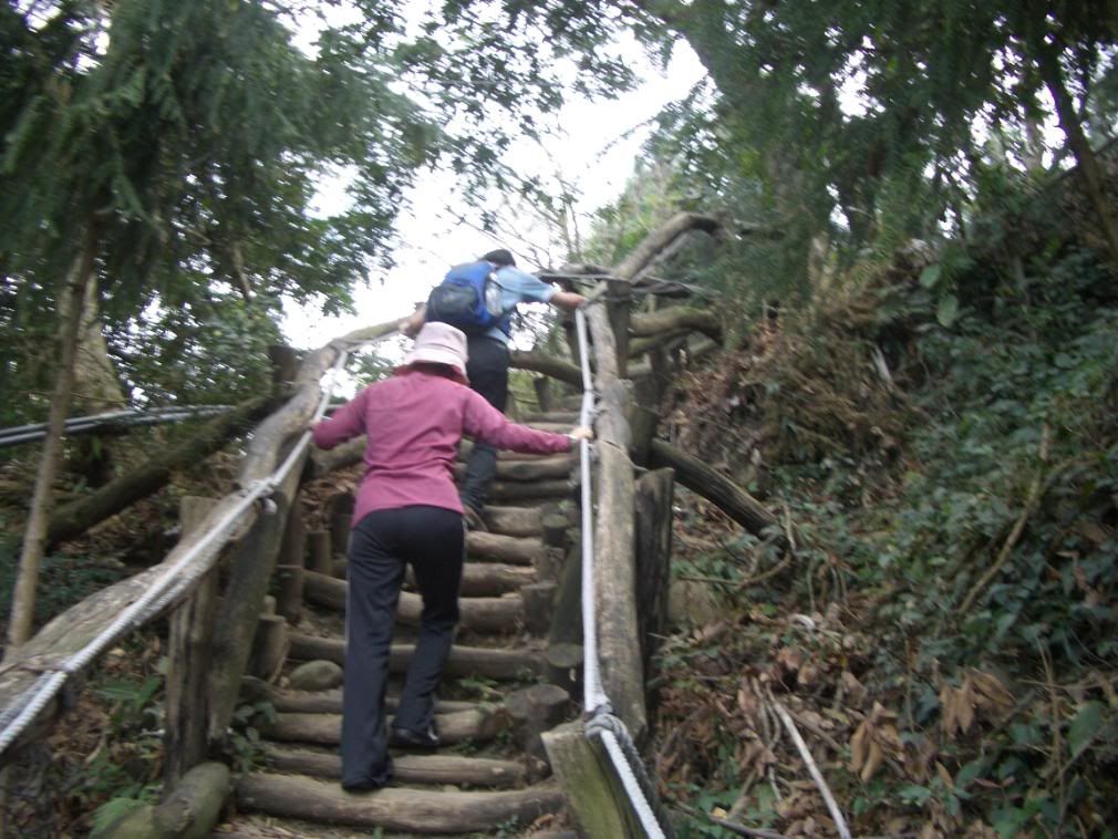 益弘跟姿瑩走前面