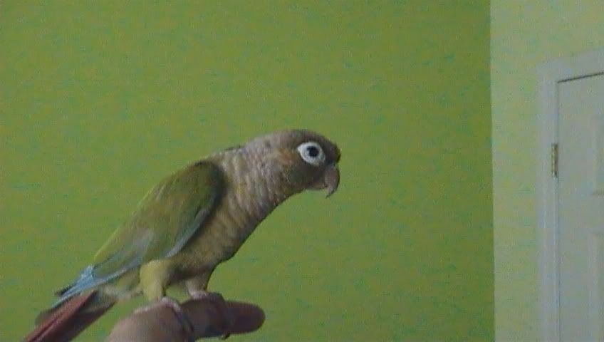 picture