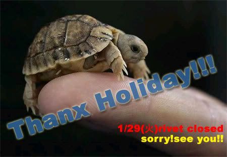 Happy Holiday!!!!! rivet ׻ٶȤΤΤ餻