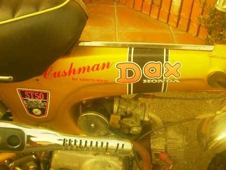 2008ǯ Cushman Spring & Summer Ÿ񡡥å