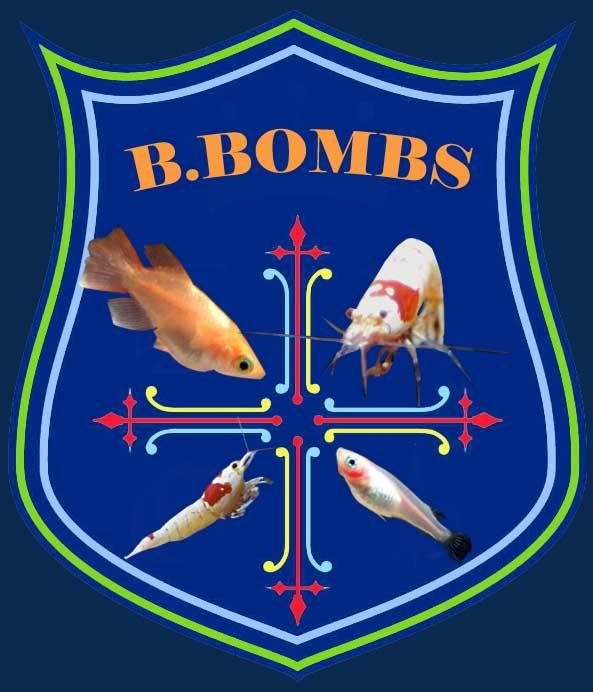 ӡŹ B-BOMBS