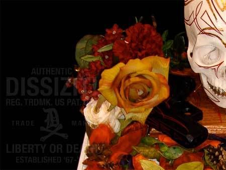 Dissizit! Graphics