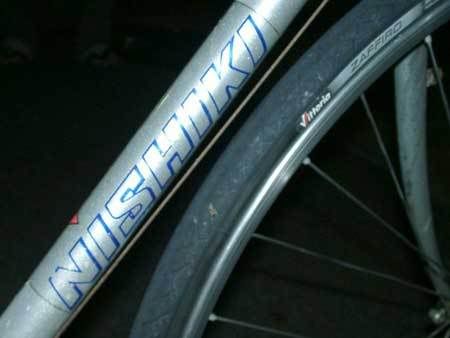 磻 NISHIKI ɥХ