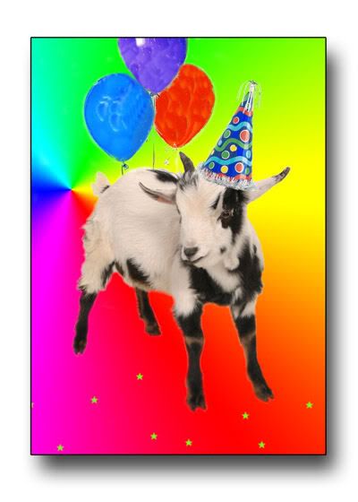 Happy Birthday - Goat Pictures, Images and Photos
