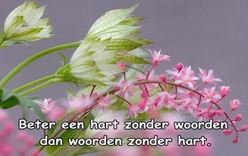 spreukhartzonderwoorden.jpg picture by smeagle_05
