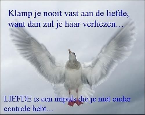 Htekst4.jpg liefde picture by smeagle_05
