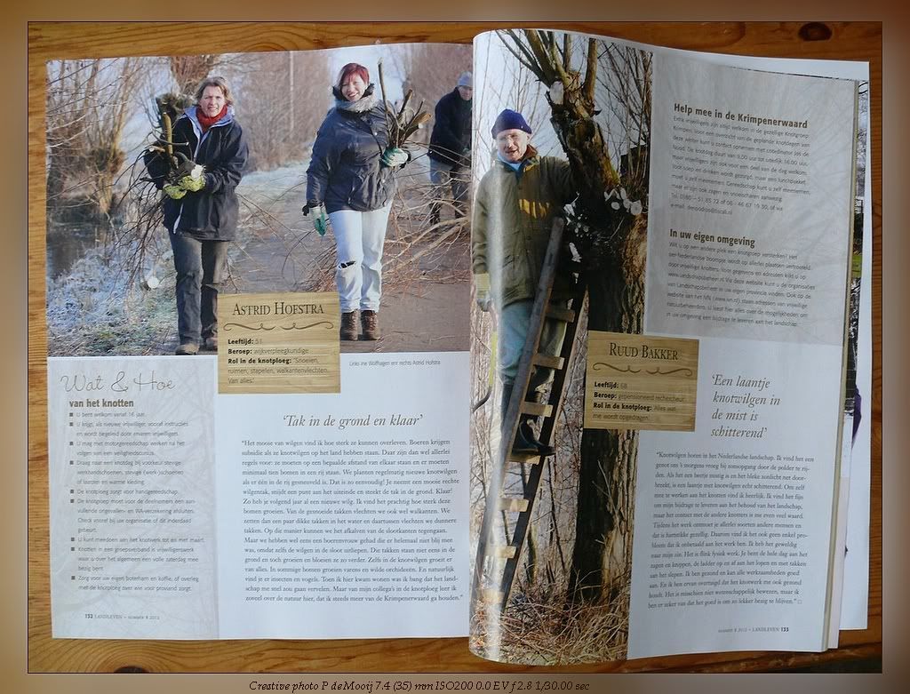 Fotografie