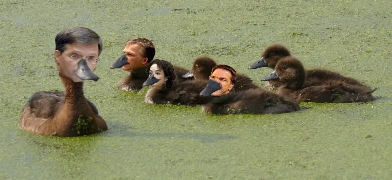 Fotografie