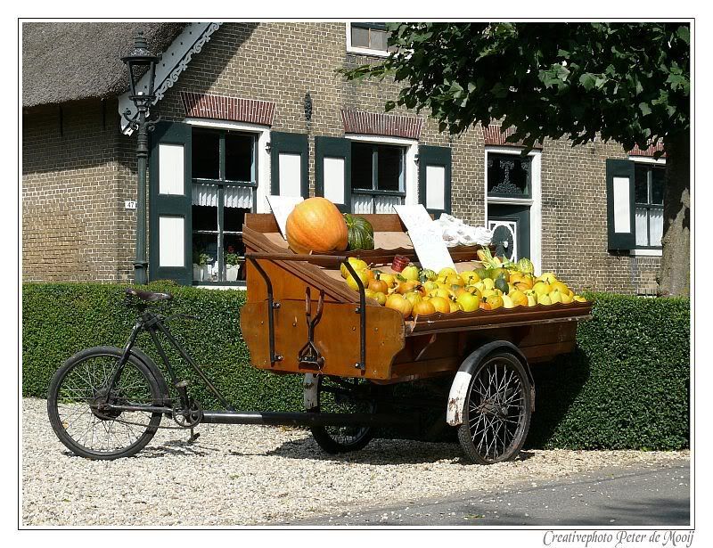 Fotografie