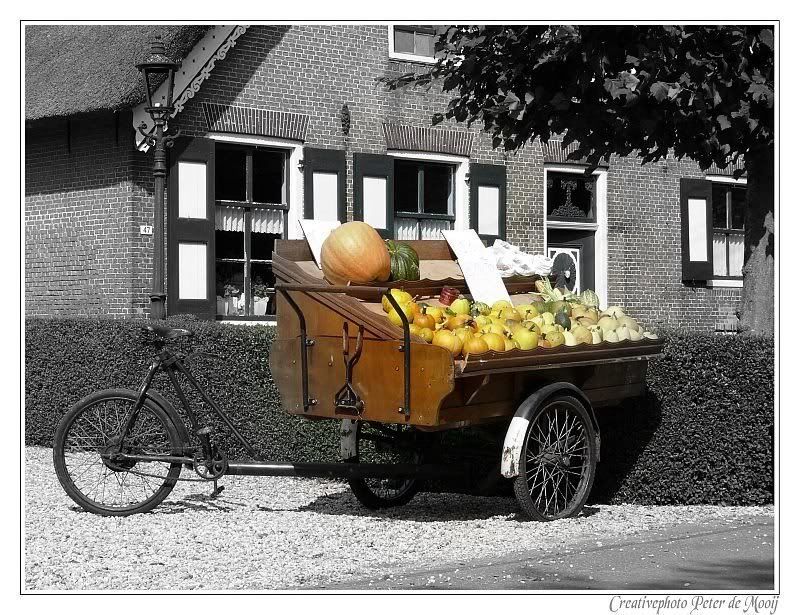 Fotografie