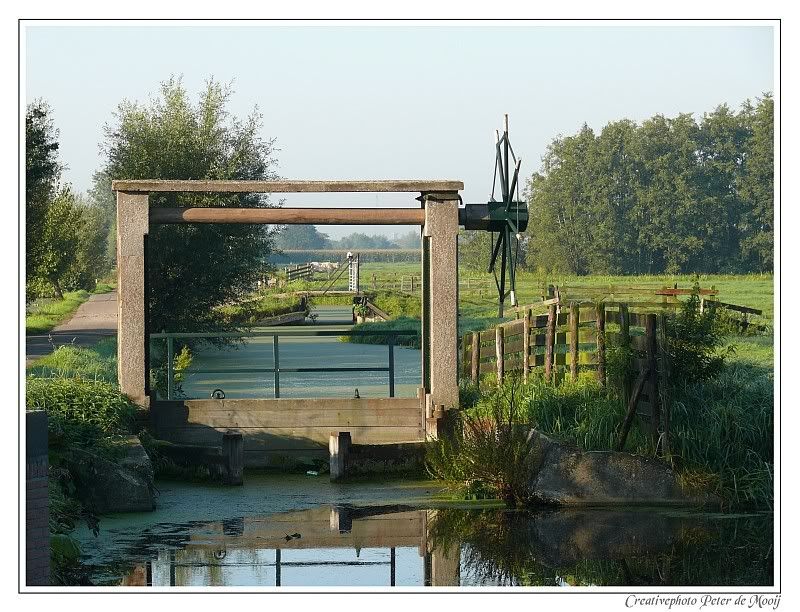 Fotografie