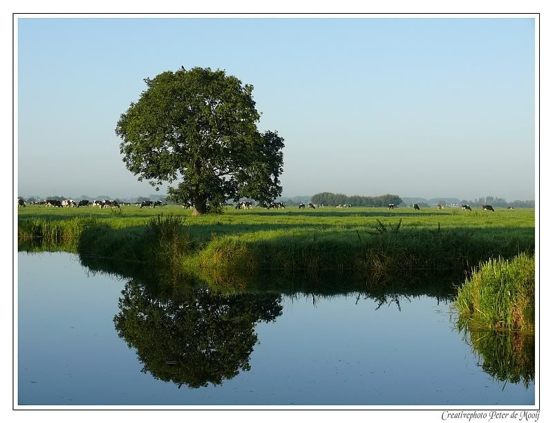 Fotografie