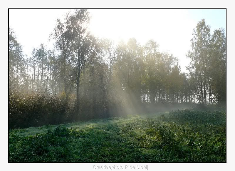 Fotografie