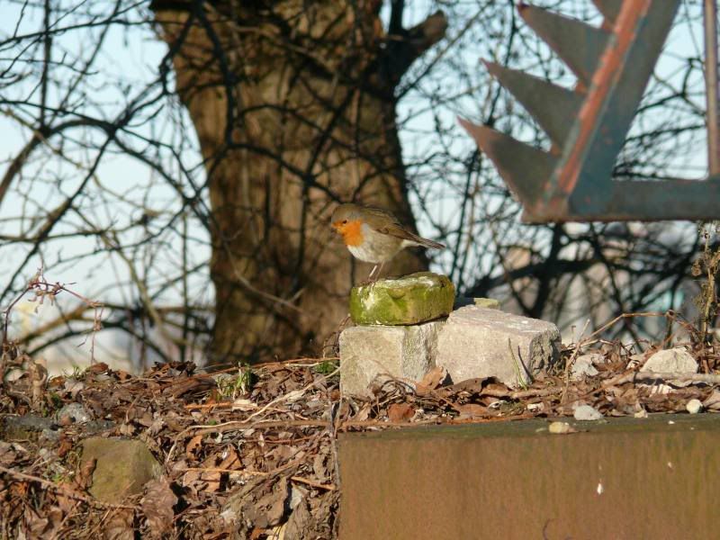 Fotografie