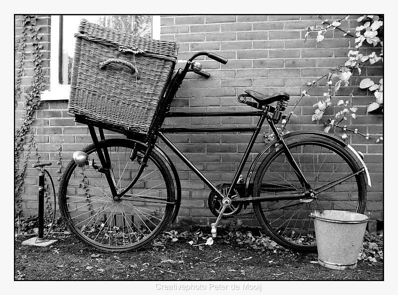 Fotografie