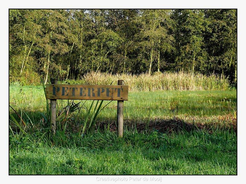 Fotografie