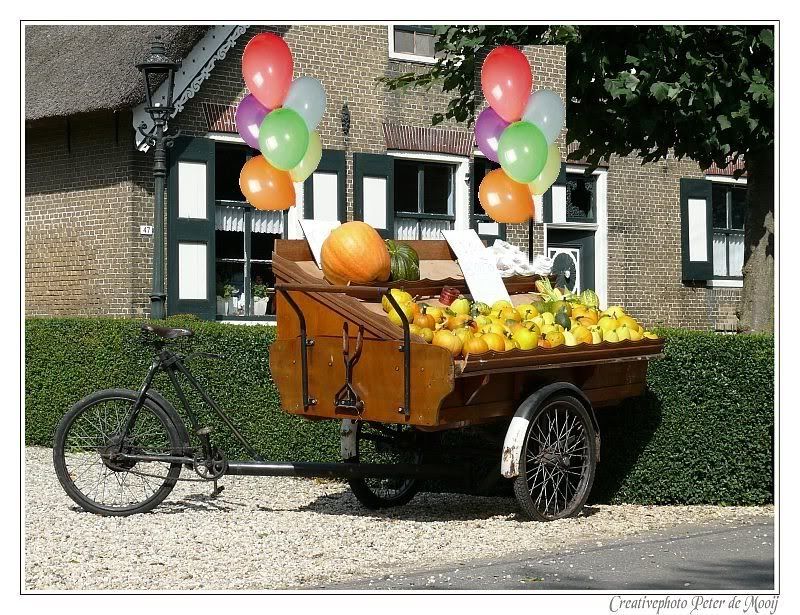 Fotografie