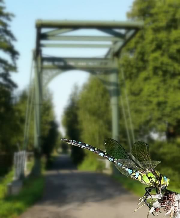 Fotografie