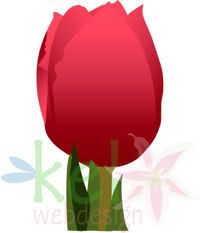 Tulip