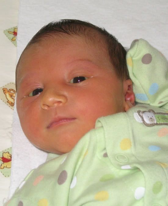 Luca Muolo Solstice Baby