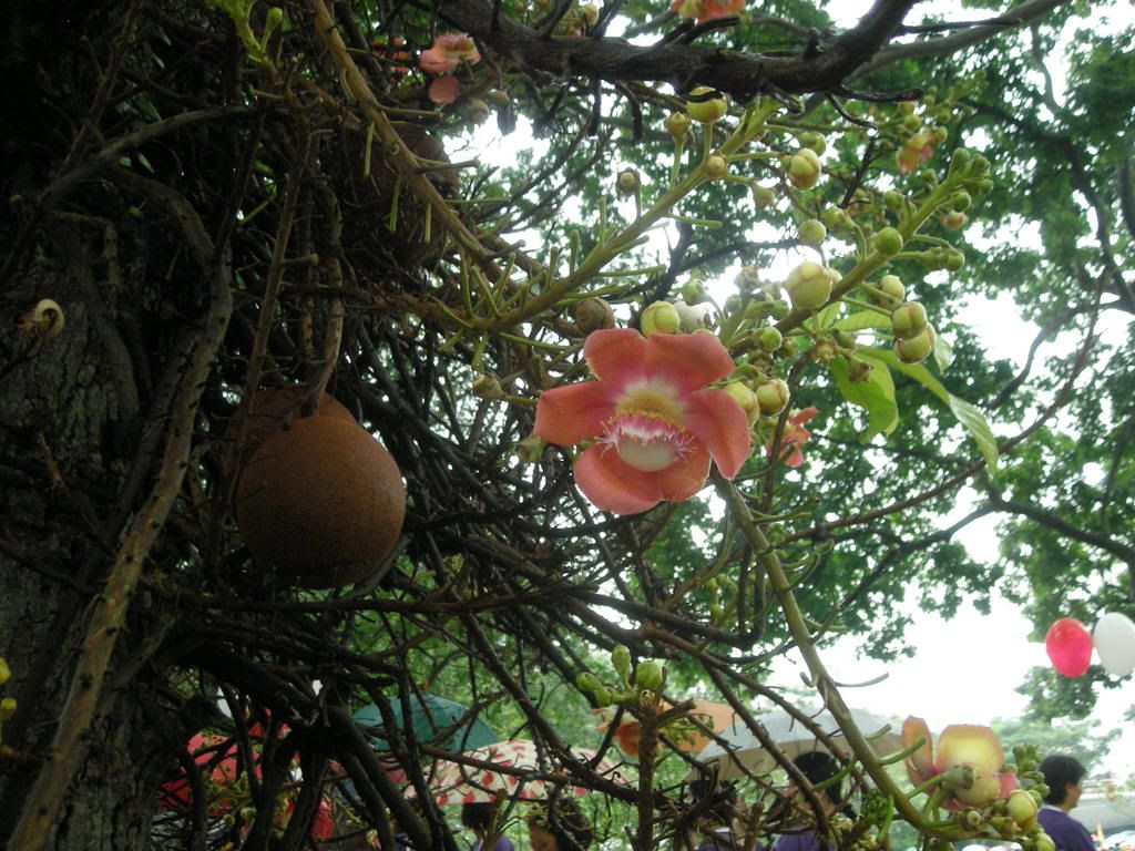 tattoos sleeves ideas for guys tattoos sleeves ideas for guys