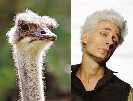 mike_ostrich.jpg