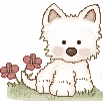WESTIE PUPPY Pictures, Images and Photos