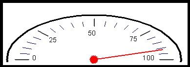 Speedo12.jpg