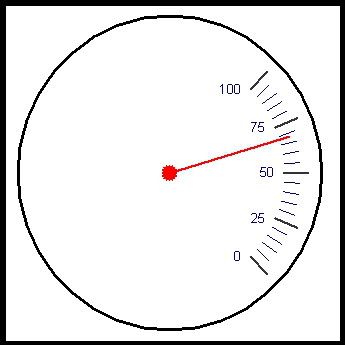 Speedo4.jpg