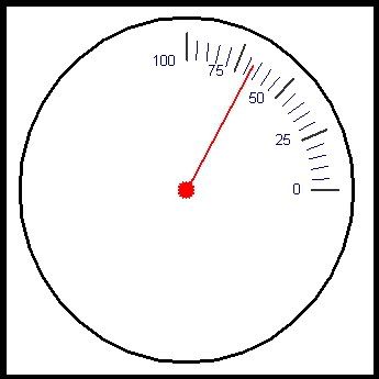 Speedo5.jpg