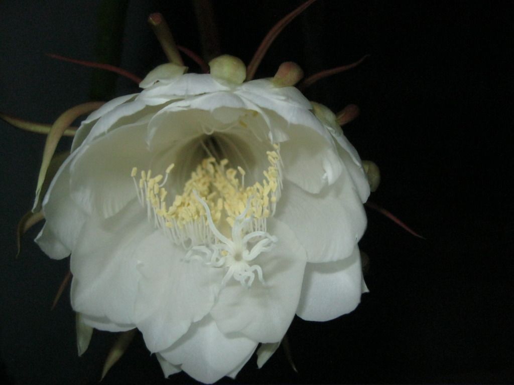 Quynh2012-17.jpg