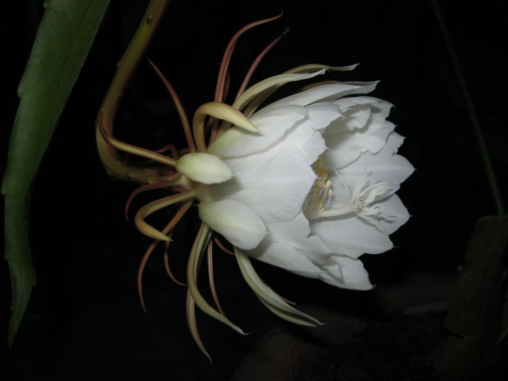 Quynh2012-19.jpg