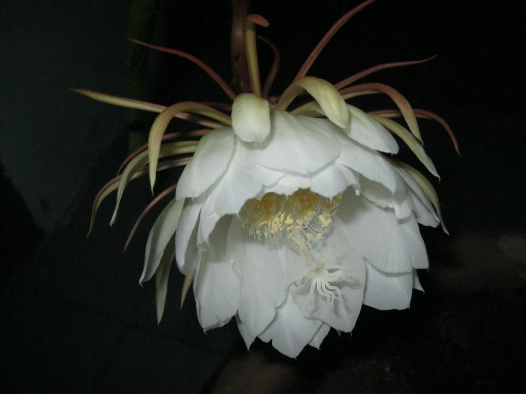 Quynh2012-20.jpg
