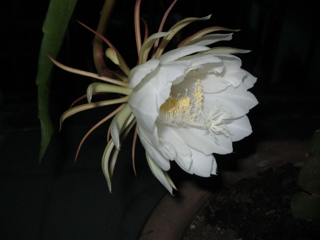 Quynh2012-21.jpg