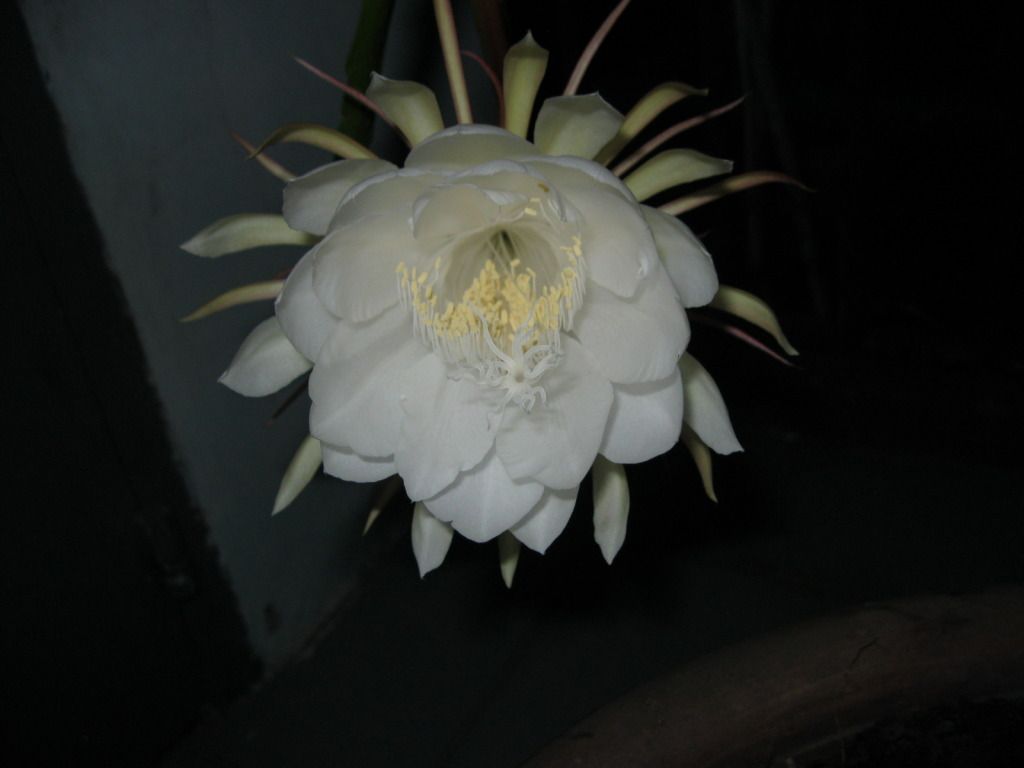 Quynh2012-22.jpg