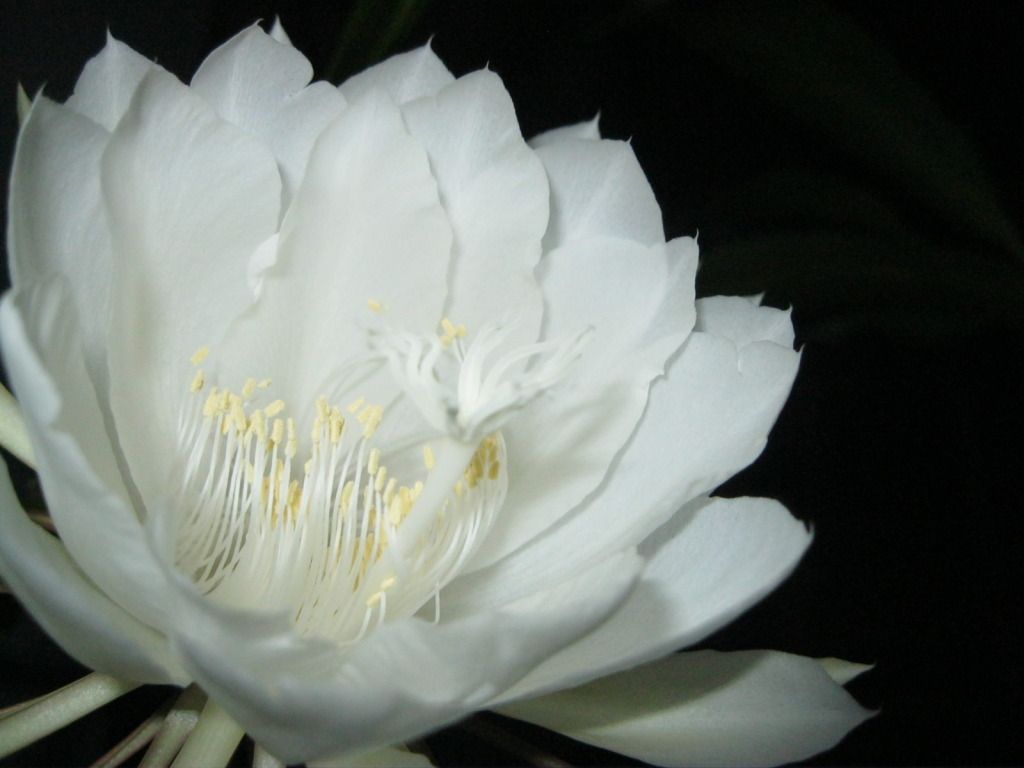 Quynh2012-24.jpg