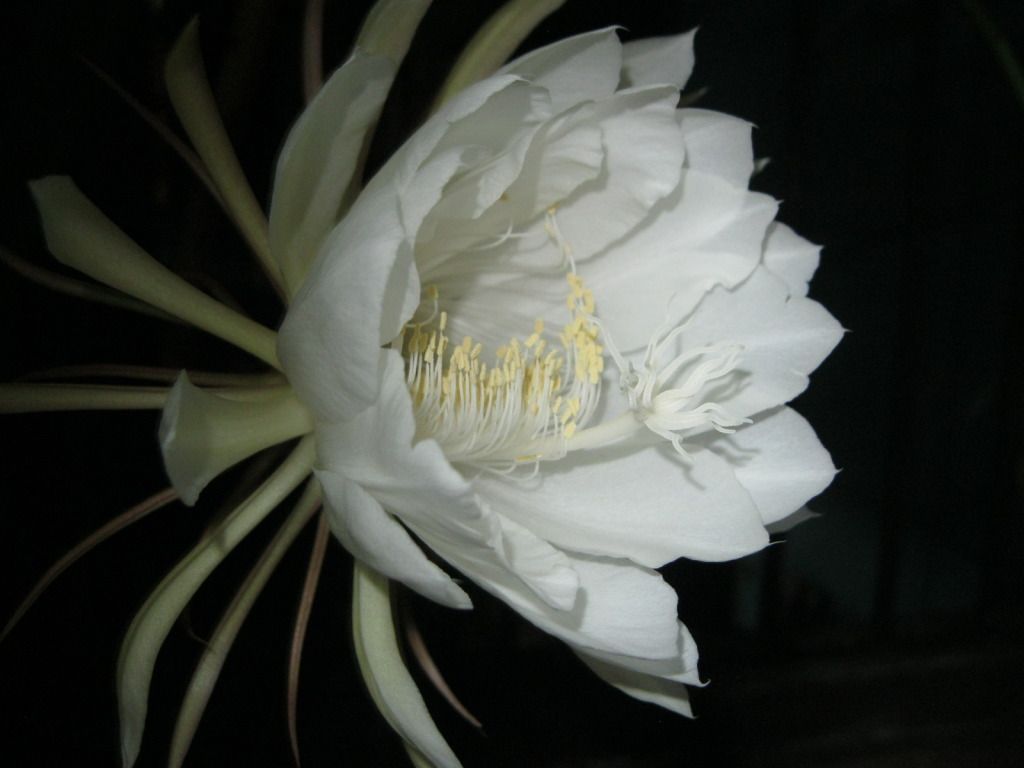 Quynh2012-26.jpg