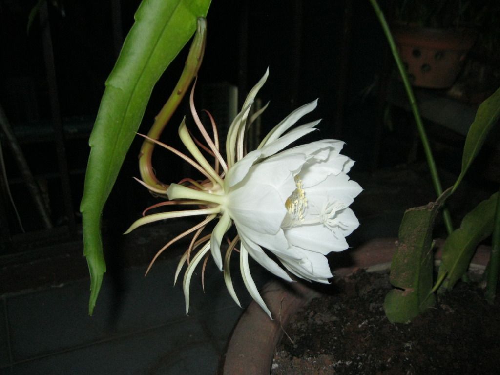 Quynh2012-29.jpg