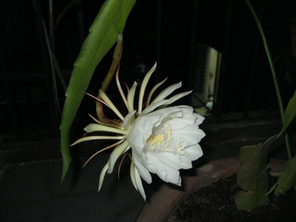 Quynh2012-30.jpg