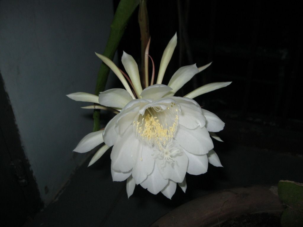 Quynh2012-32.jpg