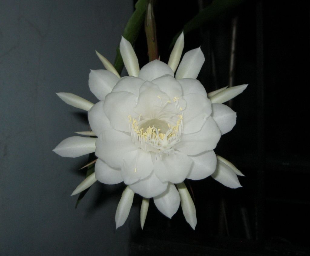Quynh2012-33.jpg