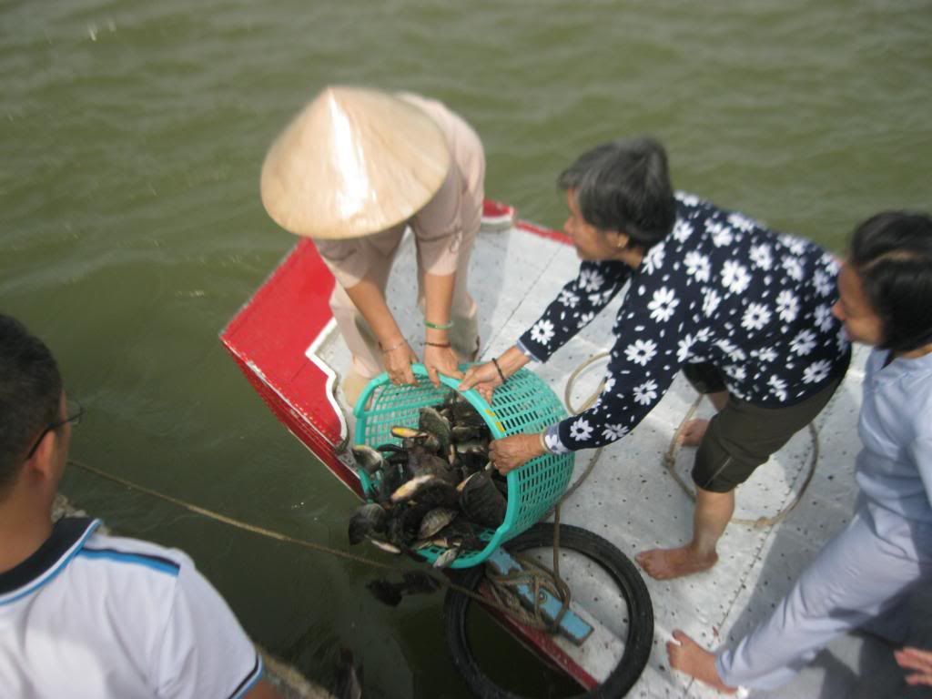 Phongsanh018_zps94a02712.jpg