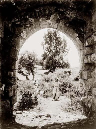 Pastoralscenetakenthroughanarchway.jpg picture by kking888