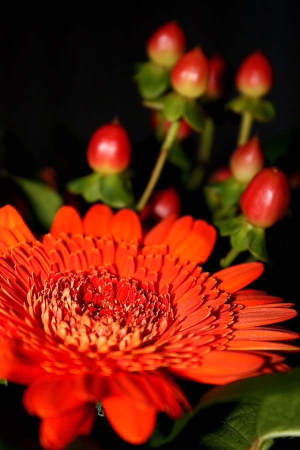 Fotografie