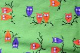 OWLS! Custom Fly Baby Designs Pocket Diaper