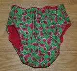 Custom Watermelon Fly Baby Designs Pocket Diaper