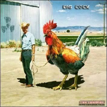 Big-cock.jpg